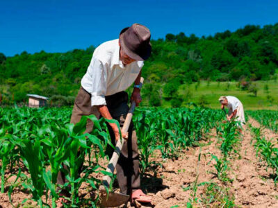 TCU aponta déficit de R$ 187,2 bilhões na Previdência rural e cobra ajustes do governo