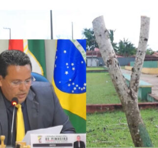 Pinheiro: Vereador Abdias manda cortar árvores em praça de Bom Viver e desafia autoridades