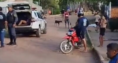 Mulher é presa após matar vizinha com 17 facadas em Barra do Corda