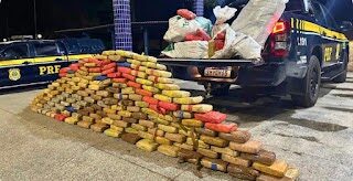 PRF apreende mais de 420kg de skunk em fundo falso de caminhão em Alto Alegre do Maranhão