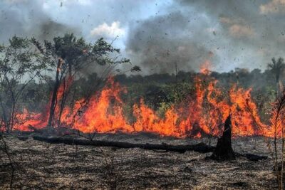 Brasil tem 2,45 milhões de hectares queimados em 2025