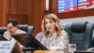 Assembleia se pronuncia sobre decisão do ministro Flávio em ação no STF