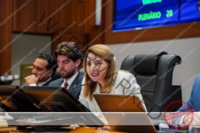 Iracema Vale reforça avanço das pautas no Legislativo e perspectivas de expressivo volume de proposições no retorno das atividades