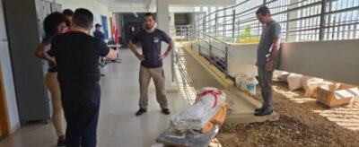Fósseis de dinossauro encontrado em Davinópolis retornam para o Maranhão com apoio técnico da UFMA