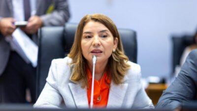 Iracema Vale repudia ameaças de grupo criminoso liderado por influenciadora e se solidariza com deputado, delegado e jornalista