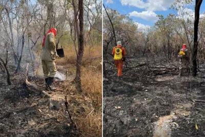 Maranhão avança no combate às queimadas em áreas mais afetadas