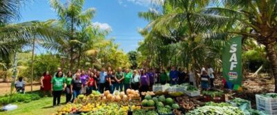 Retrospectiva 2024: Maranhão obtém reconhecimento de zona livre da aftosa e inaugura maior viveiro público do país, o Floresta Viva