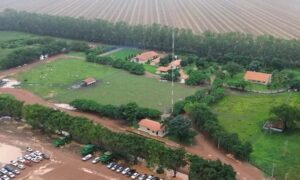 MA deve colher mais de oito milhões de toneladas de grãos na safra 2024/25