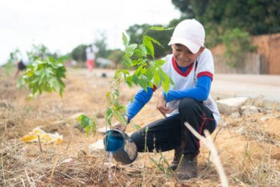 Suzano promove plantio de 700 mudas nativas na comunidade Vila Sudelândia (50 Bis), em Açailândia