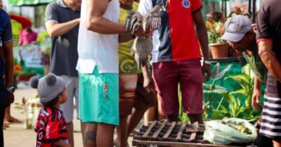 TURILÂNDIA: MAIS UMA AÇÃO DA FEIRINHA DA AGRICULTURA FAMILIAR.