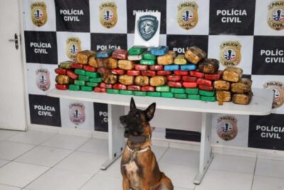 Em operação conjunta, Policia Civil e Policia Rodoviaria Federal aprieendem aproximadamente 100kg de crack que tinha como destino a grande ilha na tarde desta terça-feira