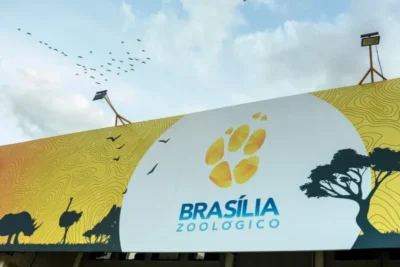Zoológico de Brasília reabrirá após mais de um mês fechado por casos de gripe aviária