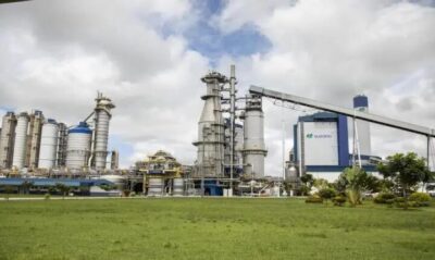 Suzano abre vagas de estágios para formandos até dezembro de 2023 e dezembro de 2024