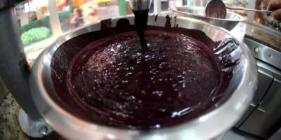 Risco da doença de Chagas: Açaí está fora do cardápio da COP 30 em Belém