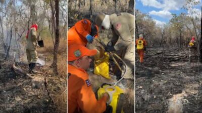 Ação de combate às queimadas avança em municípios maranhenses