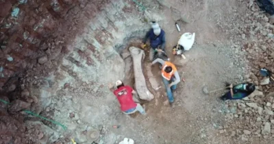 Fósseis de dinossauros encontrados em Davinópolis estão expostos para visitação em São Luis