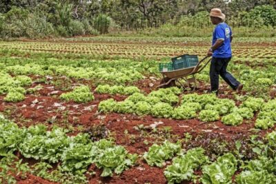 Programa Desenrola Rural inicia nesta segunda-feira, 24 de Fevereiro