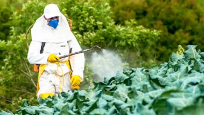 Fazendeiro é condenado por pulverização aérea com agrotóxicos no MA
