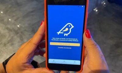 App Pardal já está disponível para denúncias de propaganda irregular das eleições 2024