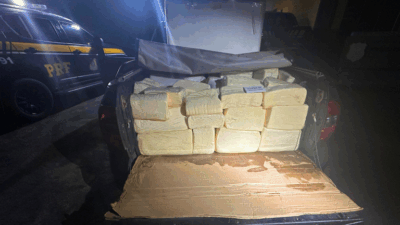PRF apreende 560 kg de produtos de origem animal transportados sem refrigeração com destino a cidade de Timon