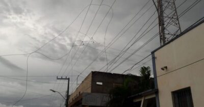 Em Vicente Ferrer veterinaria derruba árvores de praça e destelha…