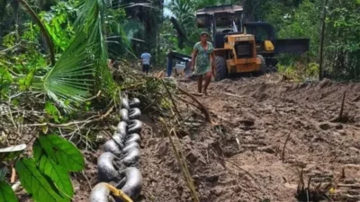 Líder em desmatamento, Maranhão acumula conflitos agrários