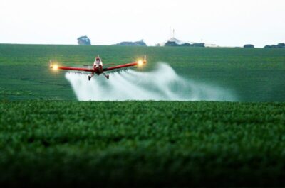 Fazendeiro é condenado por pulverização aérea com agrotóxicos no interior do Maranhão