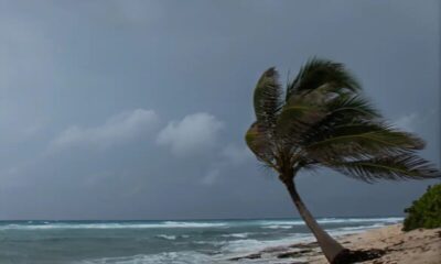 Nordeste terá sábado de chuva na maior parte do litoral, inclusive no Maranhão