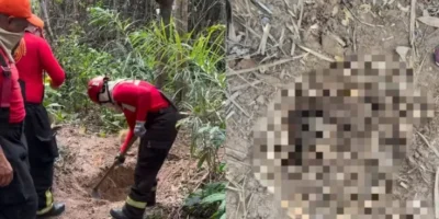Dois corpos esquartejados são encontrados em área de vegetação em Imperatriz