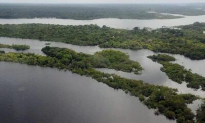 Desmatamento na Amazônia se mantém em baixa, mas incêndios elevam alertas