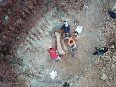 Pesquisa paleontológica resulta na identificação de nova espécie de dinossauro no Maranhão