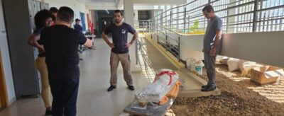 Fósseis de dinossauro encontrados em Davinópolis retornam ao Maranhão