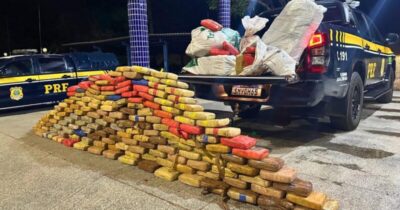 PRF apreende 420kg de maconha skunk em Alto Alegre do Maranhão; motorista receberia R$ 30 mil pelo serviço