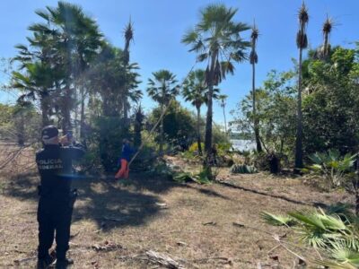 Operação resgata 80 trabalhadores de condições análogas à escravidão no Maranhão