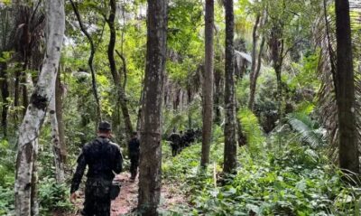 Exército faz treinamento de campo em áreas da Suzano para ambientação de militares recém-chegados