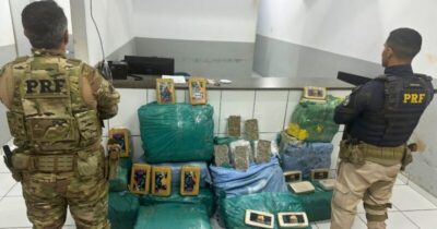 PRF apreende 360kg de maconha e crack escondidos em carga de milho no Maranhão