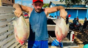 Prefeitura de Pinheiro entrega toneladas de peixe para milhares de famílias da sede e zona rural; Pescado foi adquirido dos produtores locais, aquecendo a economia do Município
