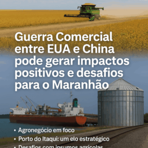 Guerra Comercial entre EUA e China pode gerar impactos positivos e desafios para o Maranhão