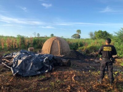 Três madeireiros são presos por extração ilegal de madeira em terras indígenas do MA