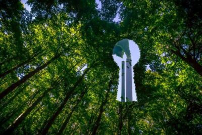Comissão debate impactos para o consumidor da publicidade ambiental enganosa