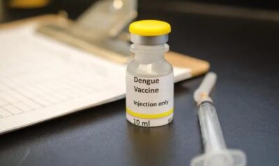 Governo do Maranhão deixa Imperatriz de fora da primeira remessa de vacinas contra dengue