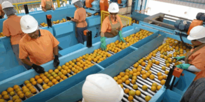 Confira a lista de quase 700 produtos que não serão taxados pelos EUA