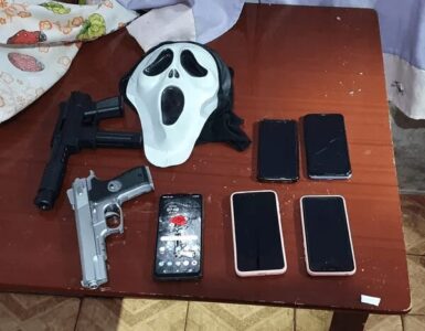 Jovem que planejou suposto atentado contra escola no DF é internada em clínica por determinação da Justiça