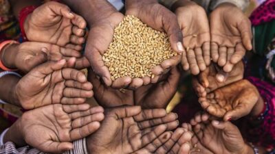 O papel do Legislativo no combate à fome e ao desperdício de alimentos