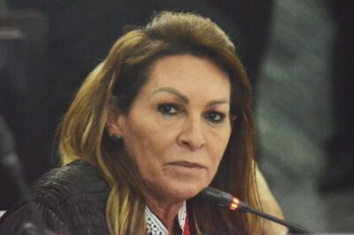 ORGANIZAÇÃO CRIMINOSA