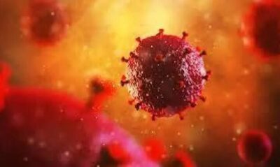 Imperatriz é uma das três cidades maranhenses com alto índice de infecções por HIV/Aids