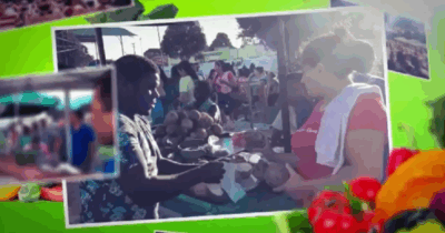 Exposição da Feirinha de Produtos da Agricultura Familiar em…