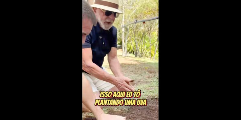 Foto: Reprodução