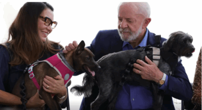 Lula lança programa de identificação e proteção de cães e gatos