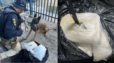 Maconha do Maranhão destinada a Recife é apreendida em Teresina